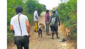 Foto| Cortesía Diario del Magdalena| LA PATRIA Los caldenses fueron encontrados por trabajadores de la zona en un sector desolad