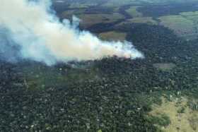 La Amazonía en Colombia: un año más, a merced de las llamas y la deforestación