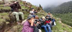 Foto | Cortesía | LA PATRIA  Un grupo de observadores concentrados y maravillados con el quetzal.