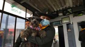 Las mascotas que acompañan a los policías de los CAI.