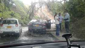 Un carro afectado por caída de ramas de árboles en La Leonora 