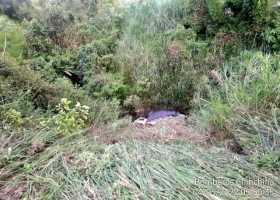 Vehículo de carga se salió de la vía y rodó de ladera en Chinchiná