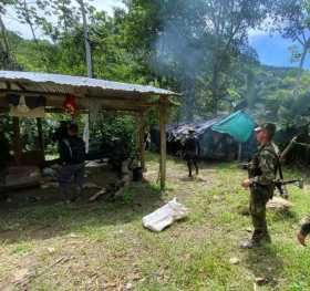 Hallaron laboratorio y cultivo de coca en Norcasia (Caldas)