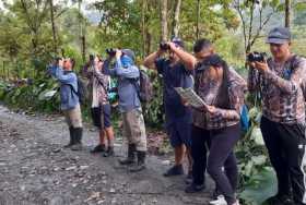 En Pueblo Nuevo (Pensilvania) también contaron aves en el Global Big Day