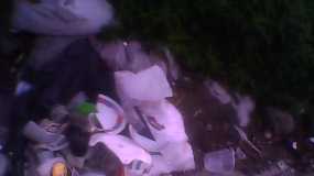 Comparendo ambiental