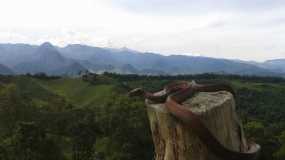 Serpientes y paisajes en la vereda Buenavista