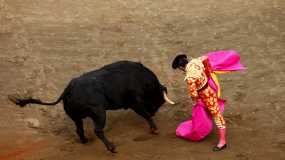 Corrida de toros 