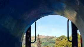 Parque del Bosque popular 