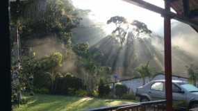  finca Venecia, vereda Alto Bonito (Manizales).  