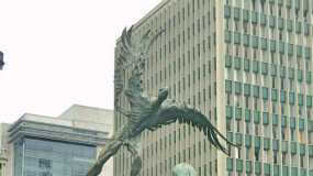 Bolivar Condor, Manizales 