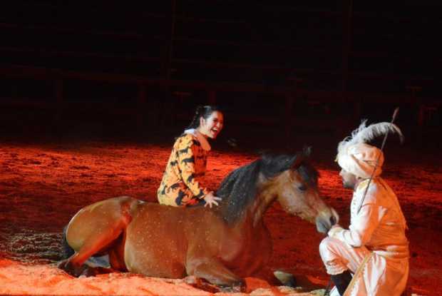 Foto | Freddy Arango | LA PATRIA "Travesía, 5 continentes al galope" es un show de talla internacional que se inauguró en abril 