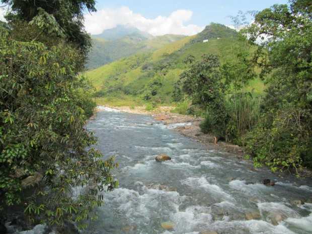 Rio Guarino 