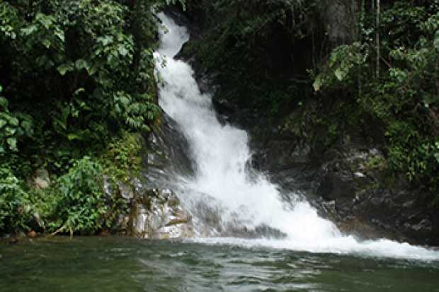 Agua,conflicto y paz