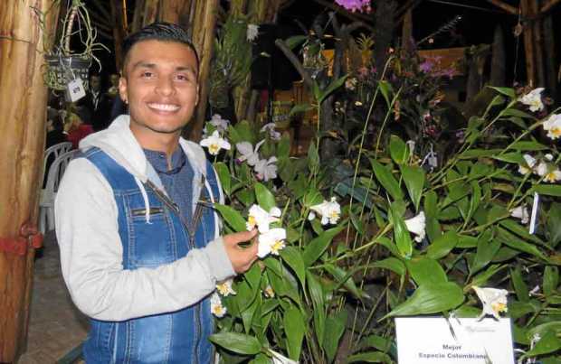 La mejor orquídea | La Patria | Noticias de Caldas, Manizales, Colombia y el  mundo