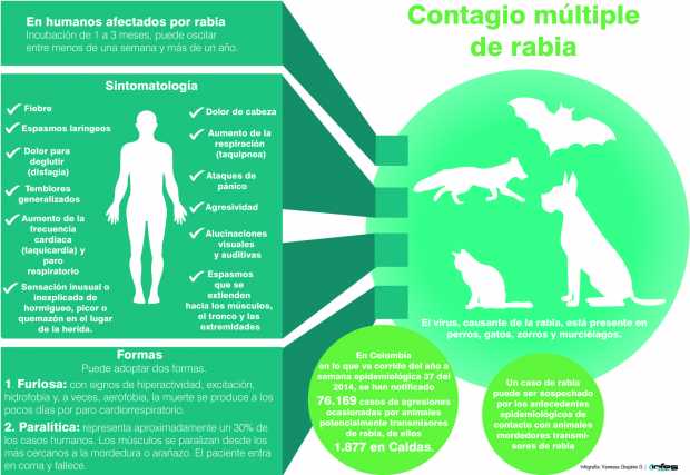 Para prevenir la rabia opte por la vacuna