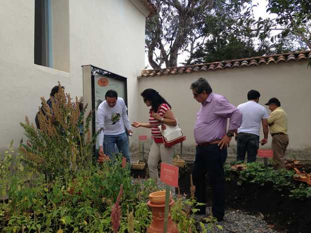 Colombia, el país de las plantas comestibles 