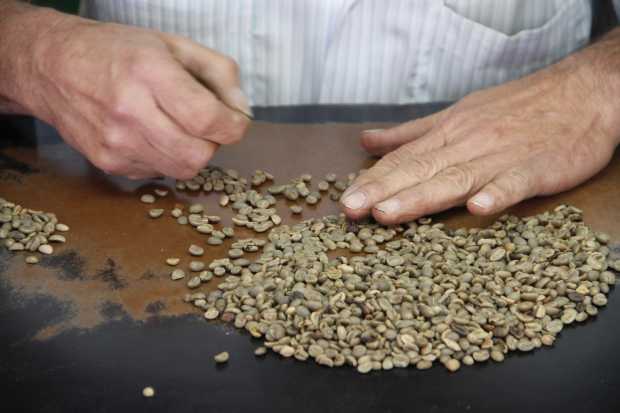 Conozca algunas opciones donde puede vender su café en Manizales