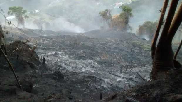 El incendio forestal en Villamaría arrasó con cultivos de pino y café.