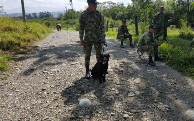 Foto cortesía | Fuerzas Militares de Colombia | LA PATRIA
