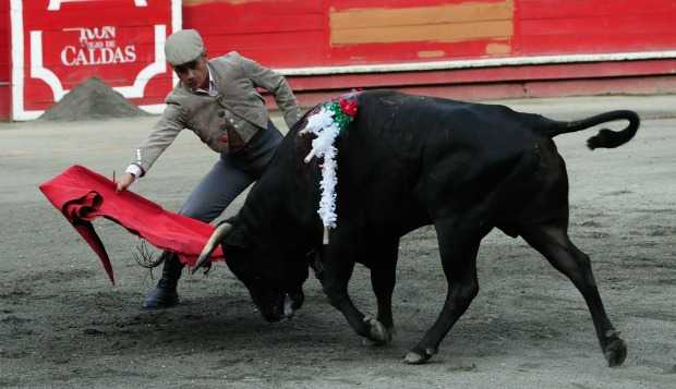 En diciembre pasado Perlaruiz participó en el tercer curso práctico taurino como apoyo a la fiesta brava en Manizales. Mañana mostrará toda su experiencia en una corrida en solitario.