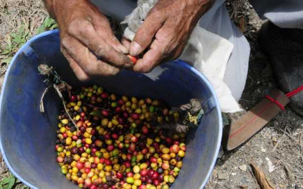 Foto | Colprensa | LA PATRIA