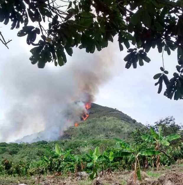Foto | Leonidas Guerrero | LA PATRIA