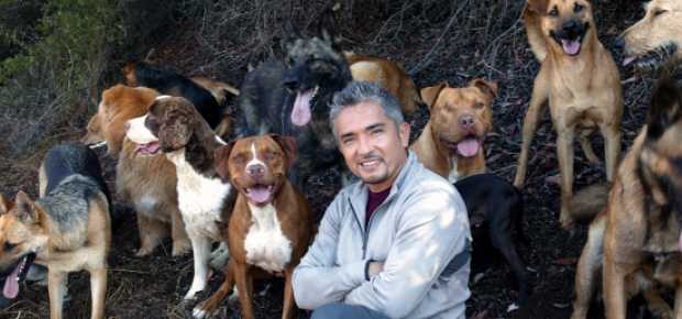 Foto | Tomada de eharmony.com | LA PATRIA