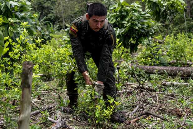 EE.UU. alerta a Colombia EE.UU. alerta a Colombia