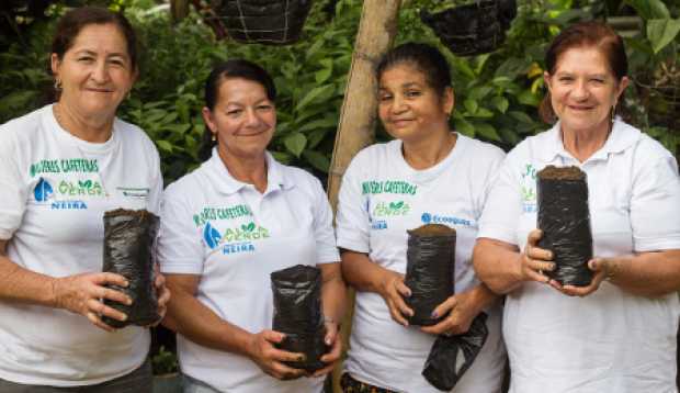 Cafeteras empezarán a reforestar