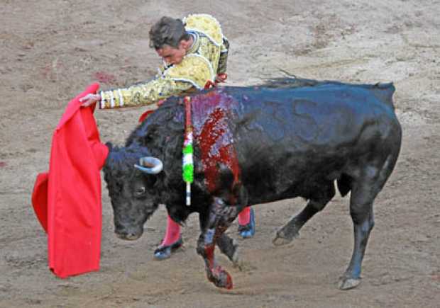 El torero colombiano Luis Miguel Castrillón lidia a Velero, toro al que le cortó dos orejas. 