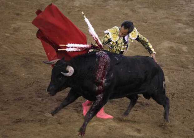 El torero colombiano Luis Bolívar lidia al toro "Adriano", de 450 Kg, de la ganadería de Salento