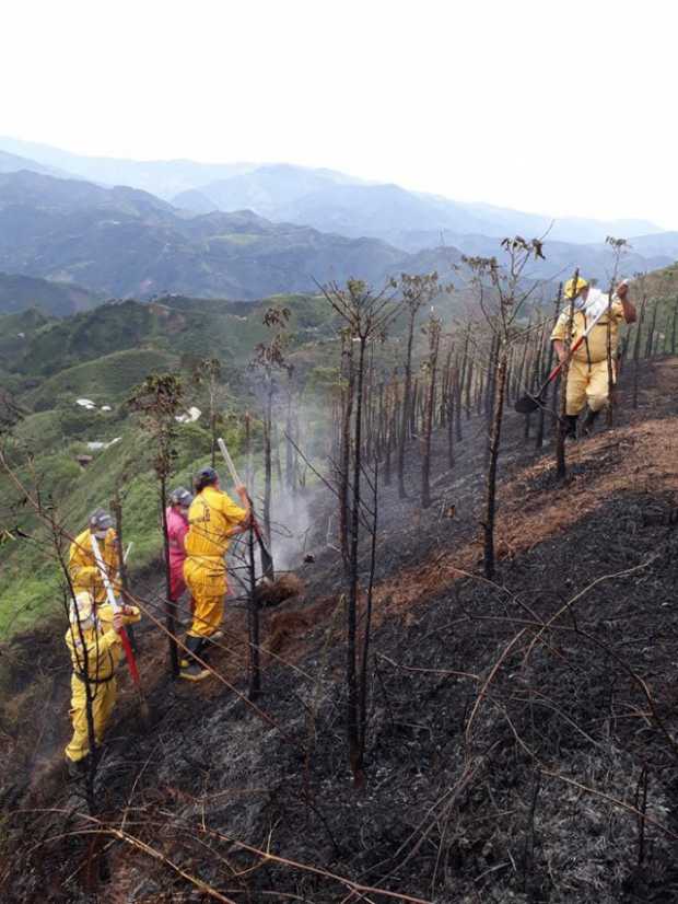 Bomberos hizo un llamado de atención a los ciudadanos para que no hagan quemas y así se eviten más incendios. Bomberos hizo un llamado de atención a los ciudadanos para que no hagan quemas y así se eviten más incendios.