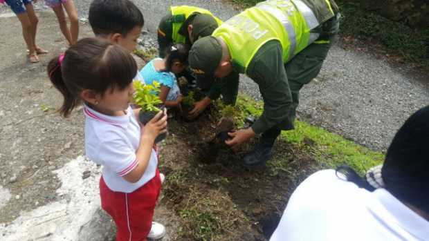 En vías principales también plantaron árboles