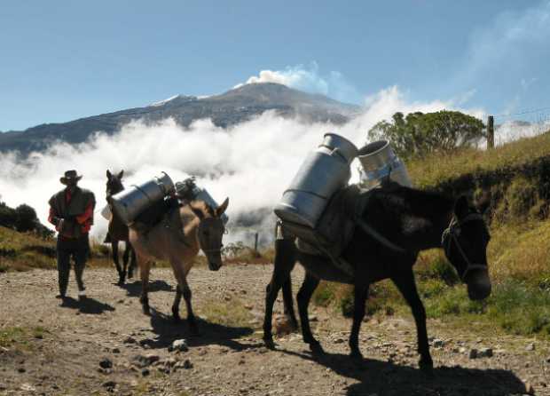 Arrieros somos y el desarrollo construimos 