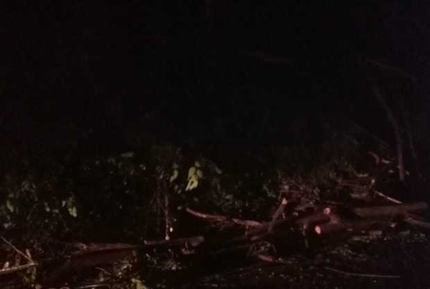 Caída de árboles y derrumbes afectaron vía antigua a Chinchiná