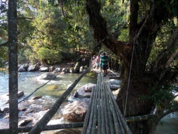 Entre Pensilvania y Nariño hay un puente provisional