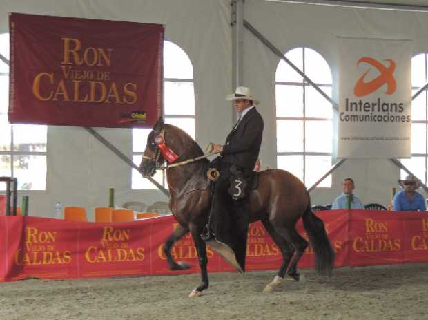 Caballos, mulas y asnos, en pasarela en Neira