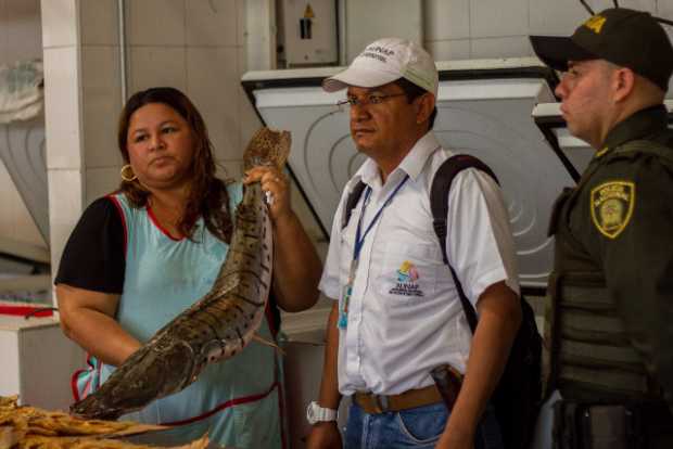 En La Dorada realizan controles a prohibición de pesca y venta del bagre rayado