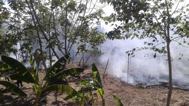 Así quedó el lote Así quedó el lote