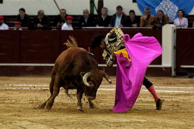 Corte Constitucional le da vida a las corridas de toros en el país