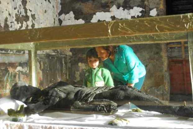 Foto | Freddy Arango | LA PATRIA Foto | Freddy Arango | LA PATRIA