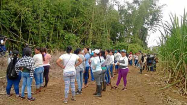 En este cañaduzal la comunidad halló los cadáveres de las niñas Zory Briyith Polanco Sánchez y Vanesa Usnas Ulcué. 