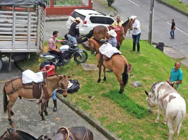 Potreros urbanos