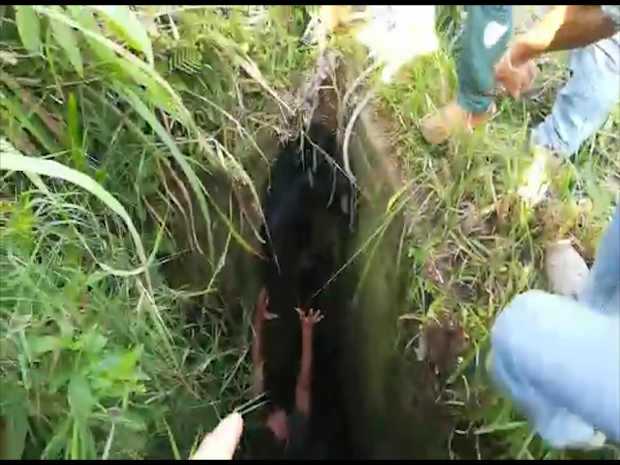 Foto | Tomada de video | LA PATRIA El rescate del perro criollo en Neira.