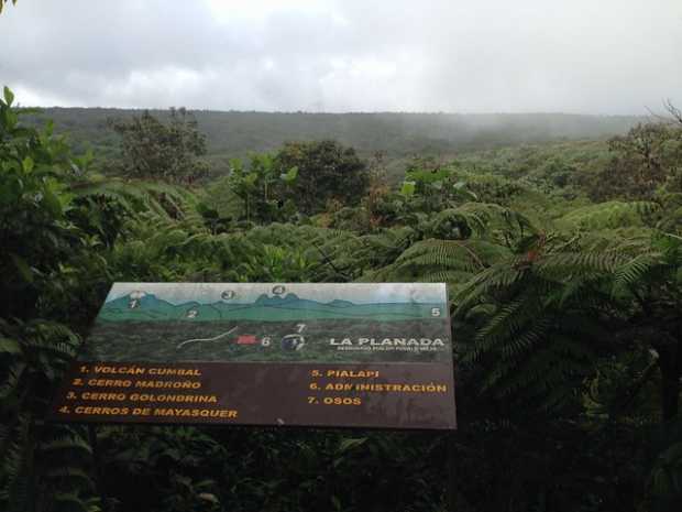 En Nariño, la comunidad indígena Awá del Resguardo Integrado Pialapi formuló el primer Bosque de Paz que hace una comunidad de e