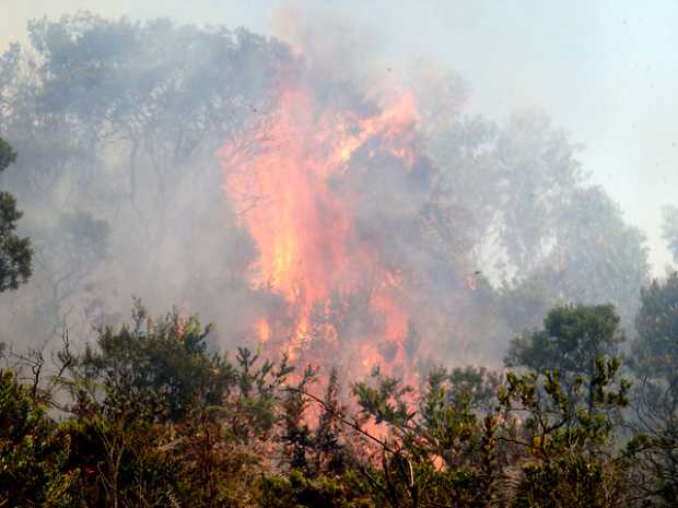 Gestión de Riesgo alerta sobre incendios forestales por altas temperaturas