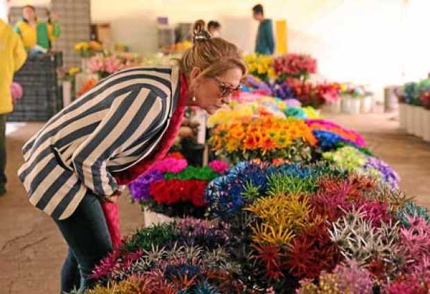 La europarlamentario Inmaculada Rodríguez-Piñero recorre una plantación de flores de exportación en el municipio de Madrid (Cund