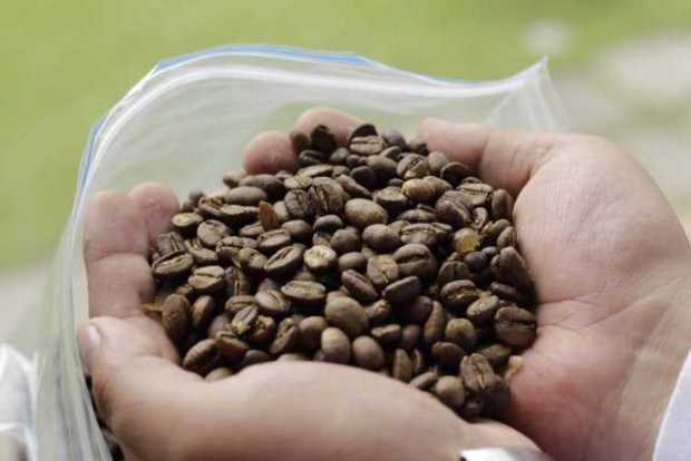 Los defectos en el paladar que da el café se pueden encontrar en sabores como fenoles y stinker. Los defectos en el paladar que da el café se pueden encontrar en sabores como fenoles y stinker.