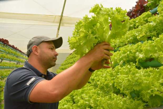 El agrónomo Camilo Medina Martínez creó hace dos años Raíz Viva. Sus hortalizas y frutas las venden a supermercados y comerciali