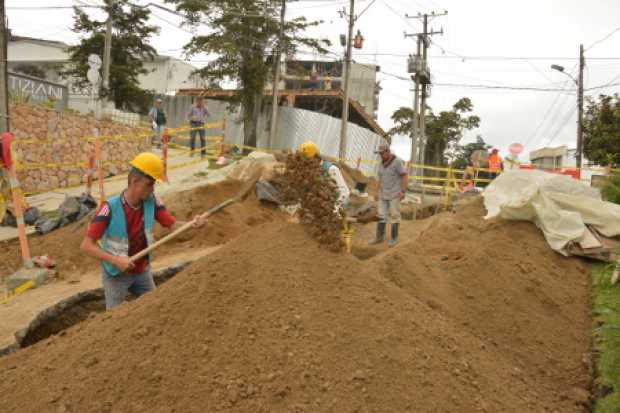 Obras la camelia